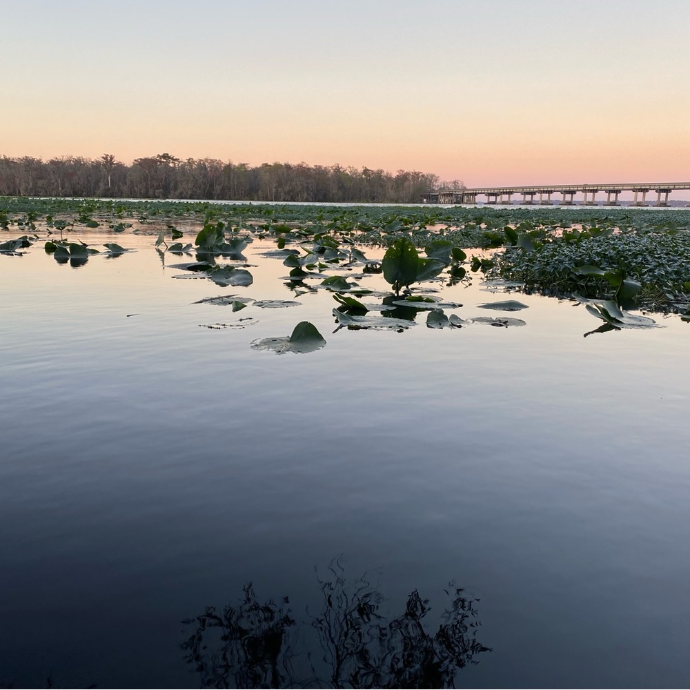 Meet your Posher, Sunny